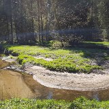 20.04.2019 Saussbachklamm